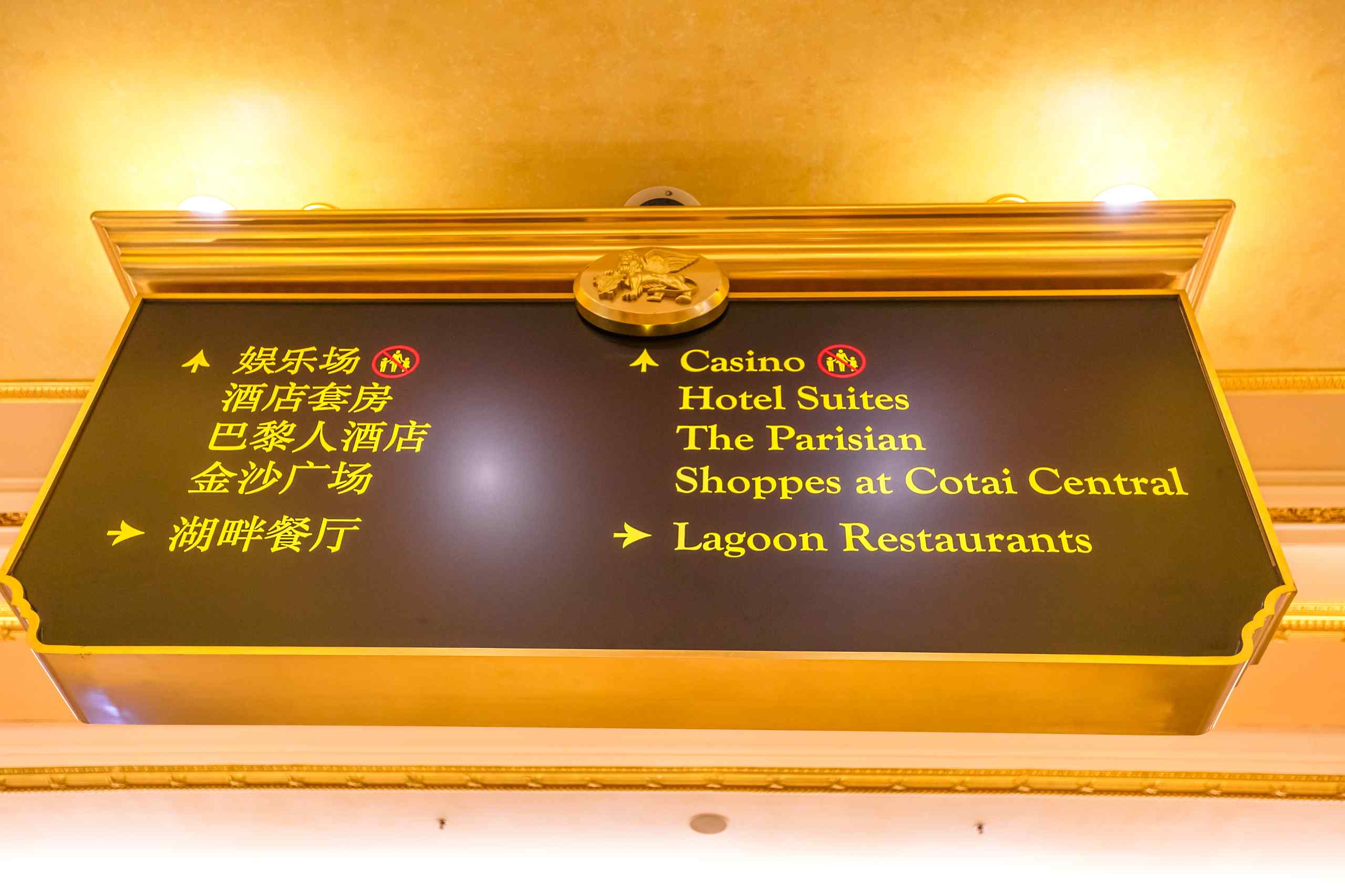Bodog Travel is for gaming enthusiasts.