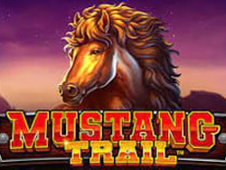 Mustang Trail