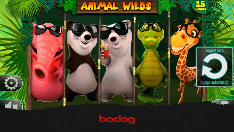 bodog