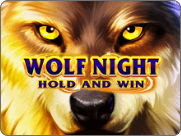 wolf night