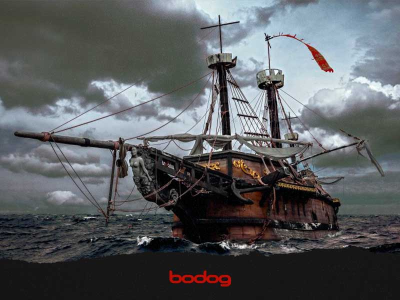 bodog