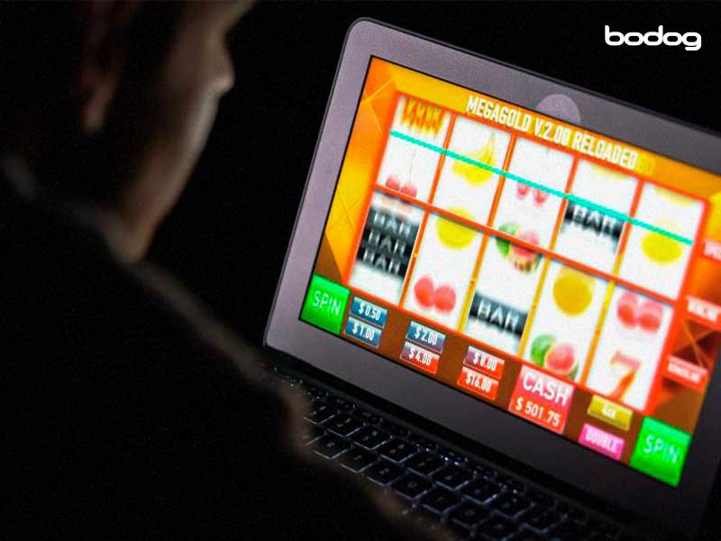 bodog