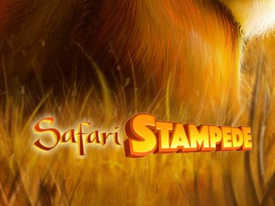 Safari Stampede