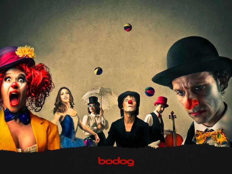 bodog