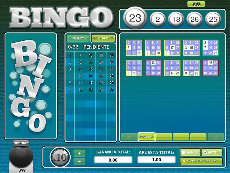 bingo de 30