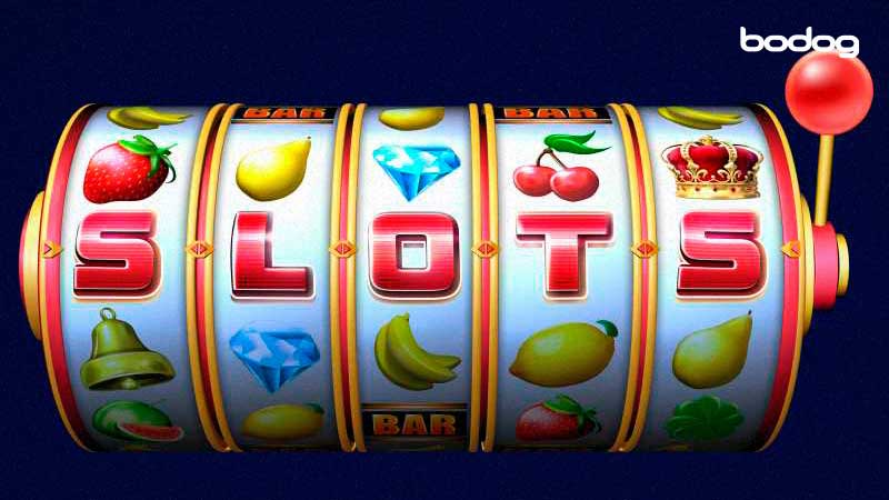 bodog