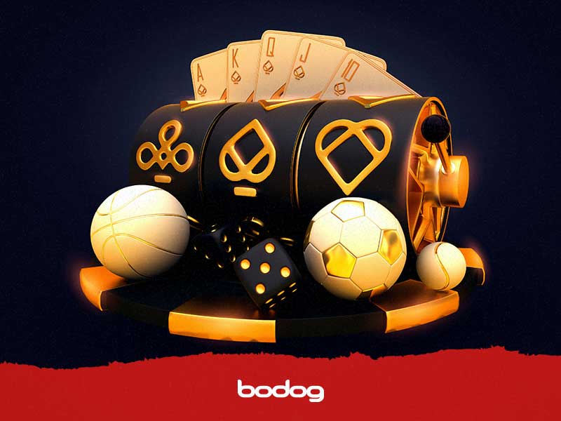bodog