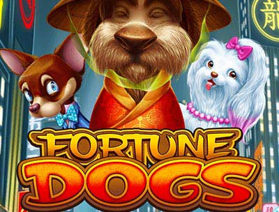 Fortune Dogs