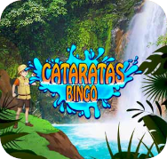 Cataratas Bingo