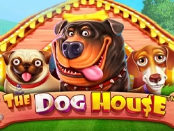 The Dog House