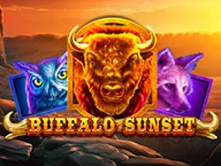 Buffalo Sunset