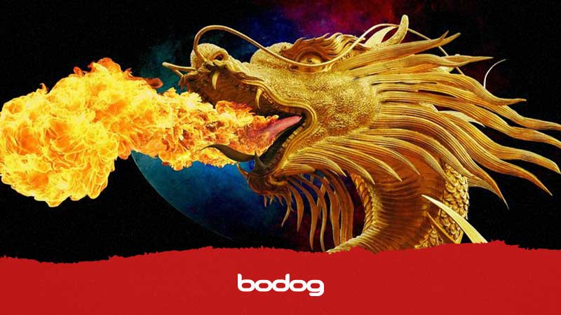 bodog