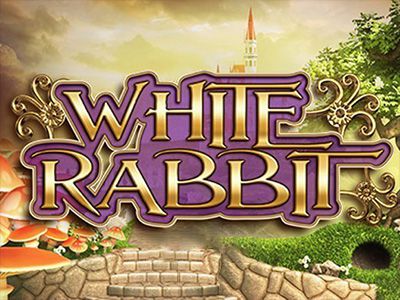 White Rabbit