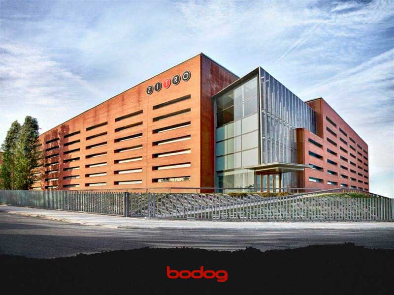bodog