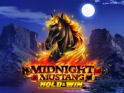 Midnight Mustang