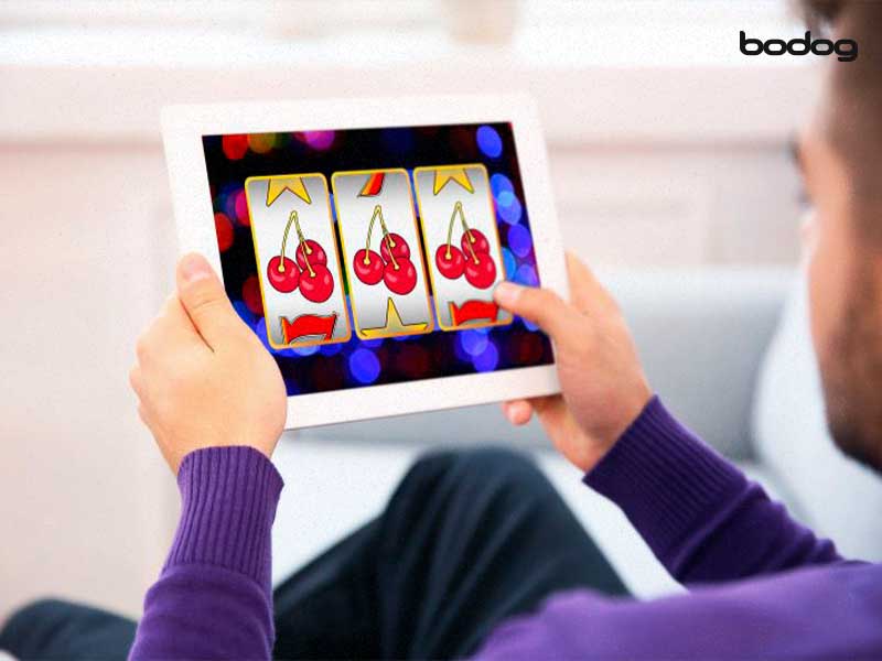 bodog