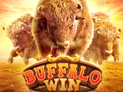 Buffalo Win