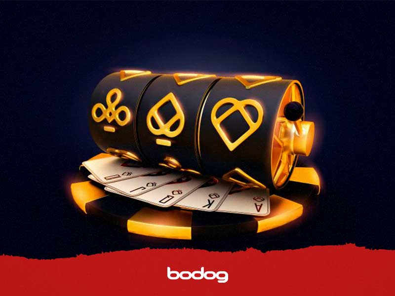 bodog