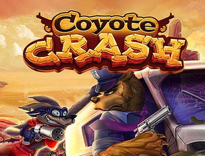Coyote Crash
