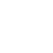 Video Bingo