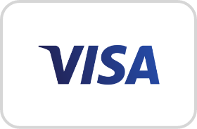 Blue and light blue Visa icon centered in a white background