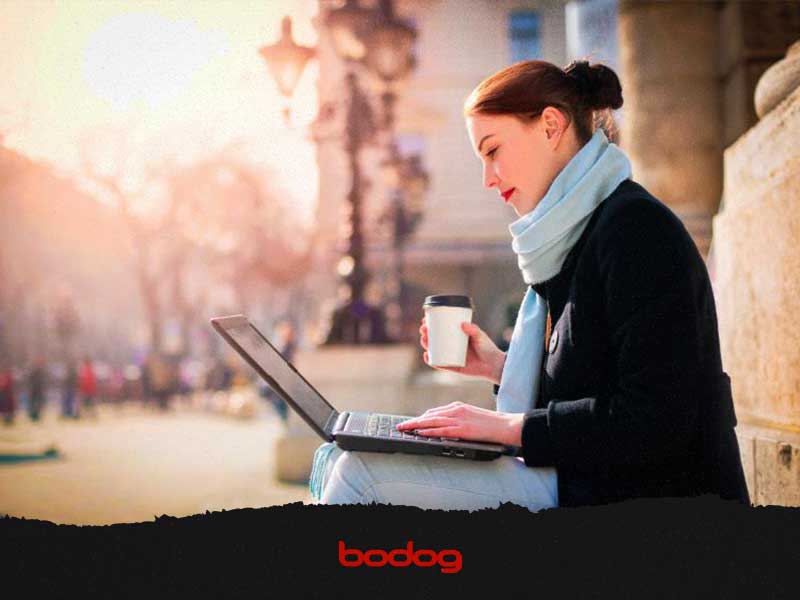 bodog
