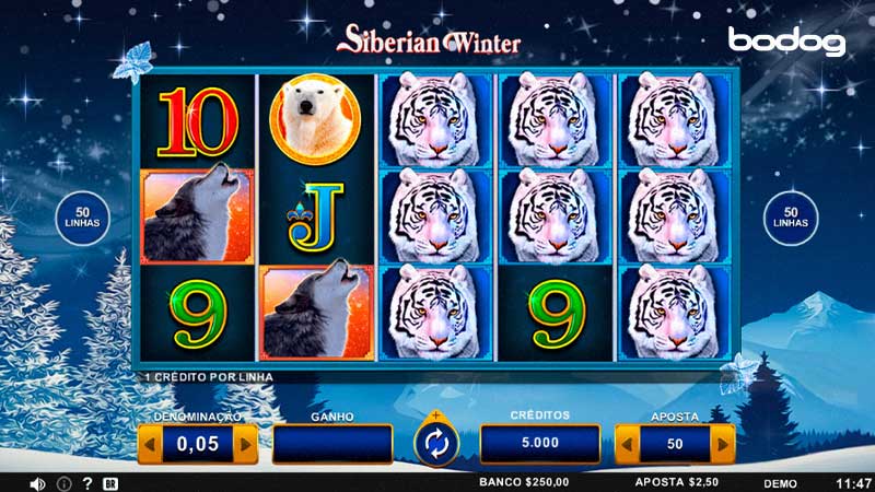 bodog