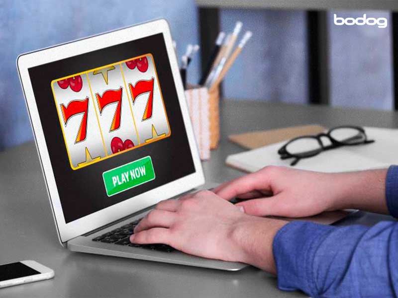 bodog