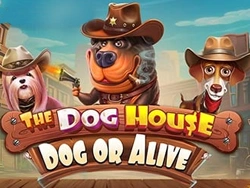 The Dog House – Dog or Alive