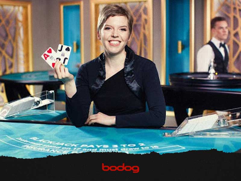bodog