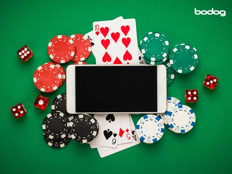 bodog