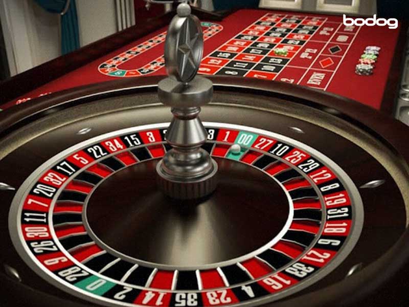 bodog