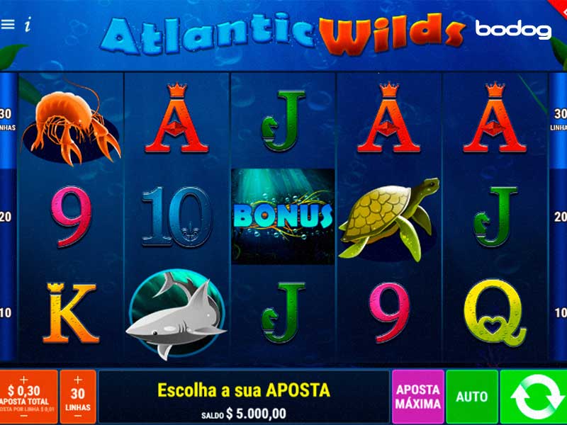 bodog