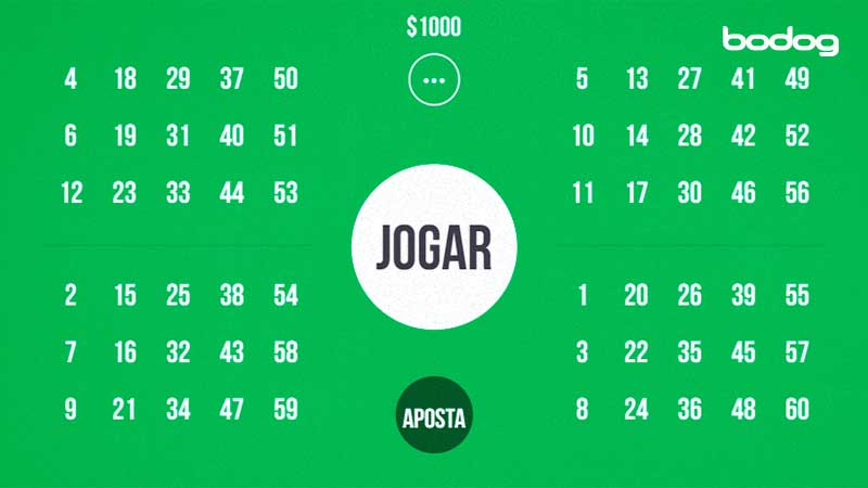 bodog