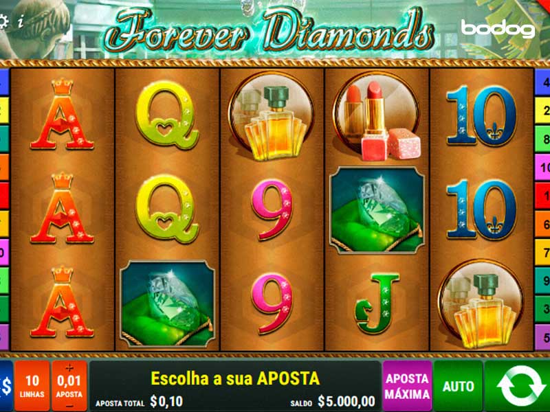 bodog