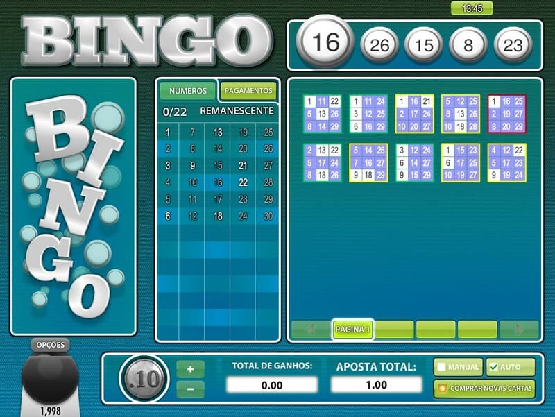 bingo cartelas