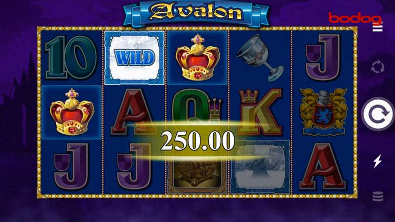 bodog
