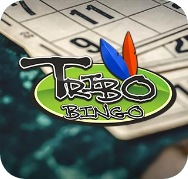 Trebo Bingo
