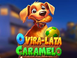 O Vira-lata Caramelo™