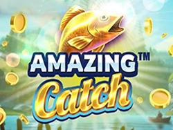 Amazing Catch