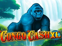 Congo Cash XL