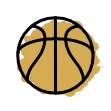 pelota