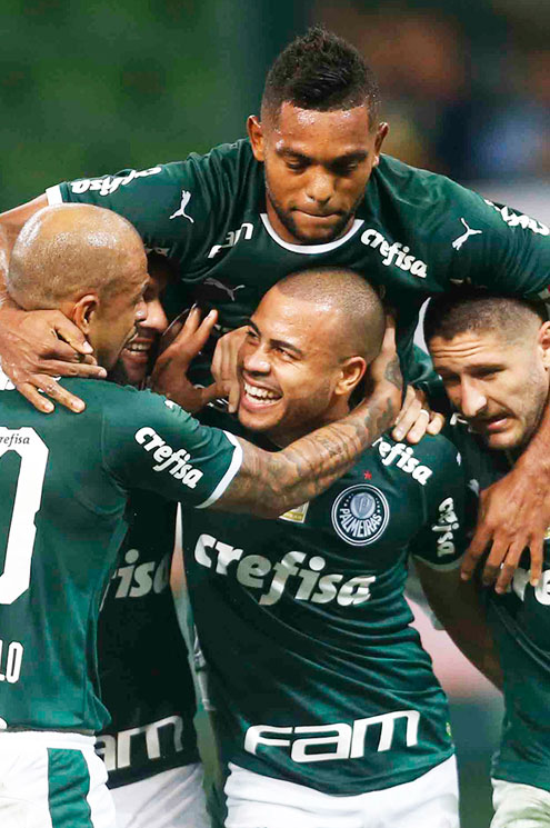 palmeiras